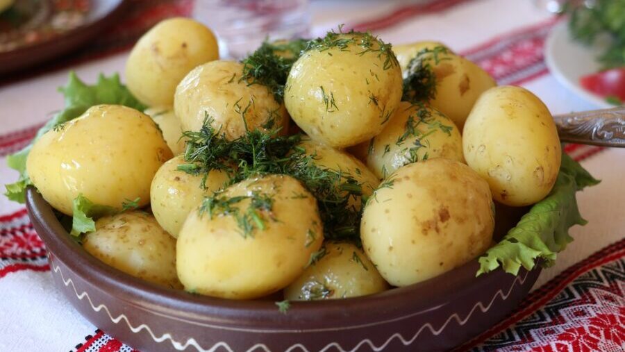 Síla brambor